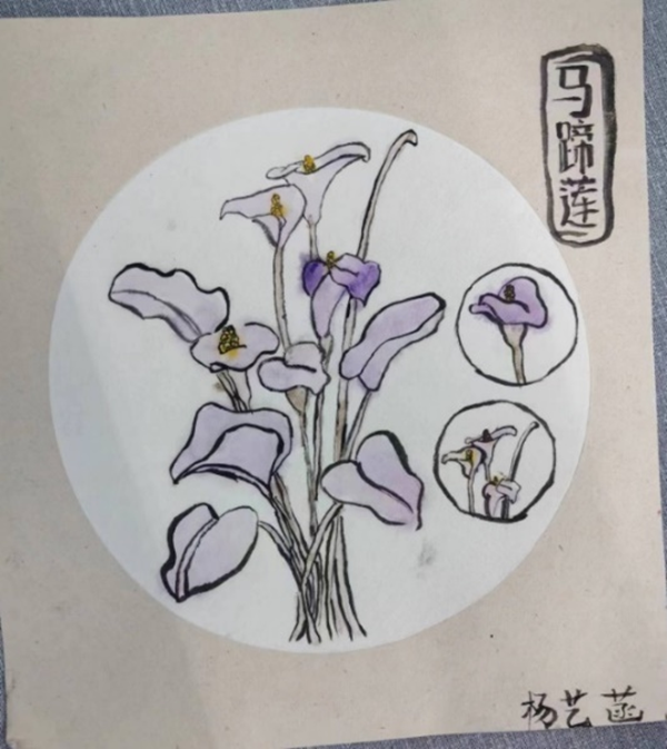 开云kaiyun体育