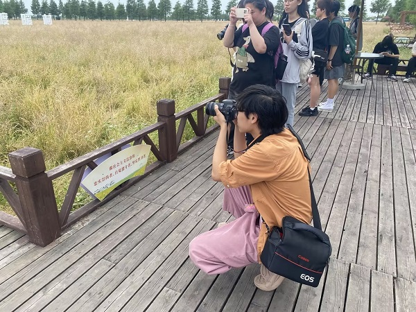 开云kaiyun体育
