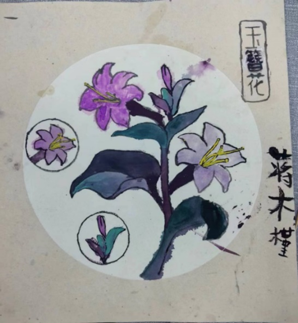 开云kaiyun体育