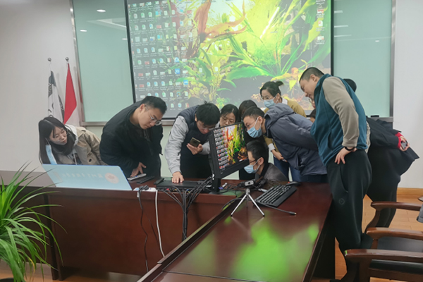 开云kaiyun体育