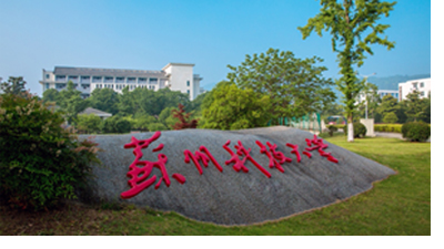 开云kaiyun体育